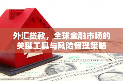 迎泽外汇贷款，全球金融市场的关键工具与风险管理策略