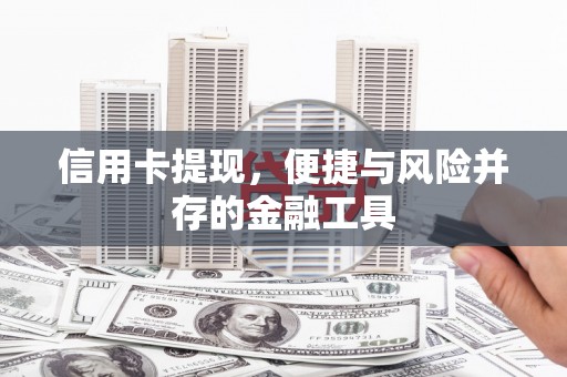 龙安信用卡提现，便捷与风险并存的金融工具