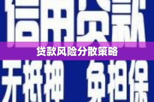 九原贷款风险分散策略