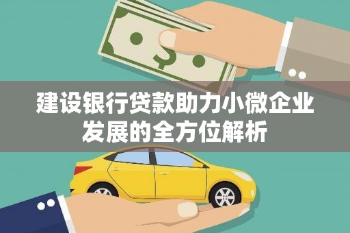 郴州建设银行贷款助力小微企业发展的全方位解析