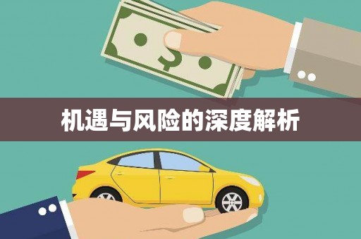 大厂机遇与风险的深度解析