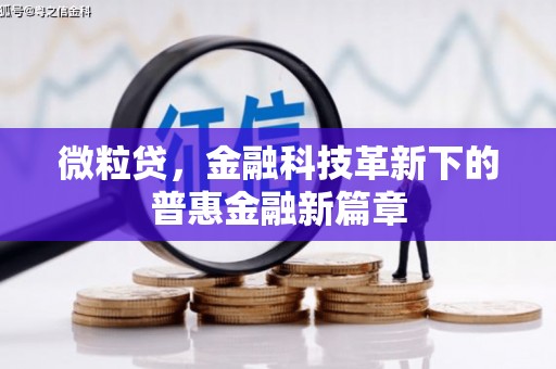 自贡微粒贷，金融科技革新下的普惠金融新篇章