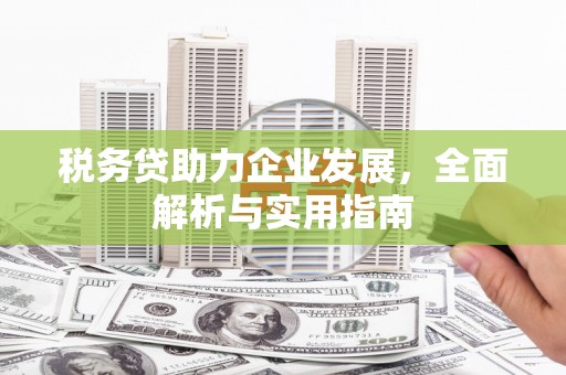 褒忠税务贷助力企业发展，全面解析与实用指南