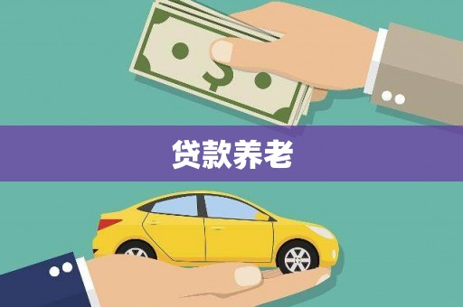 昭阳贷款养老