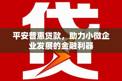 宁武平安普惠贷款，助力小微企业发展的金融利器