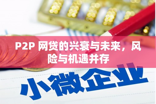 明光P2P 网贷的兴衰与未来，风险与机遇并存