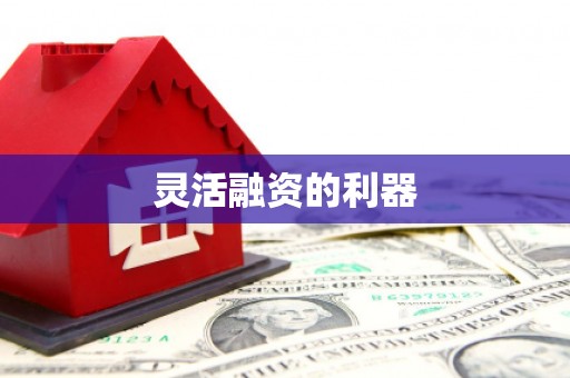 清河门灵活融资的利器