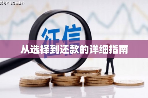 溧水从选择到还款的详细指南