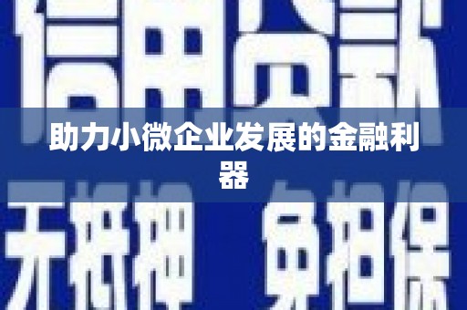 芦竹助力小微企业发展的金融利器
