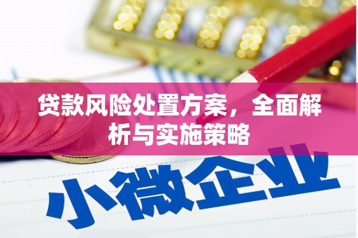 颍东贷款风险处置方案，全面解析与实施策略