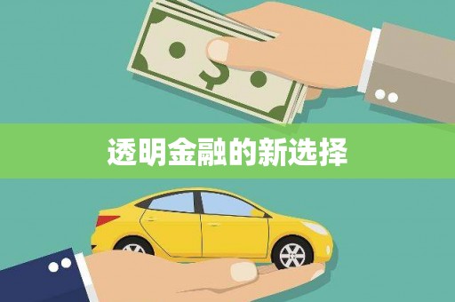 临沧透明金融的新选择