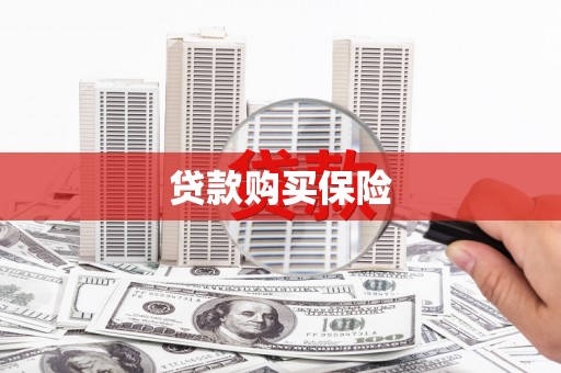 龙山贷款购买保险