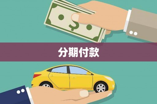 那玛夏分期付款