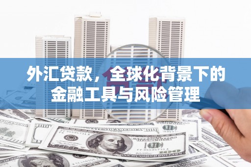 红星外汇贷款，全球化背景下的金融工具与风险管理